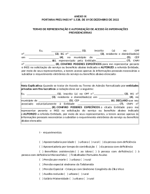 INSS Representation and Authorization Form