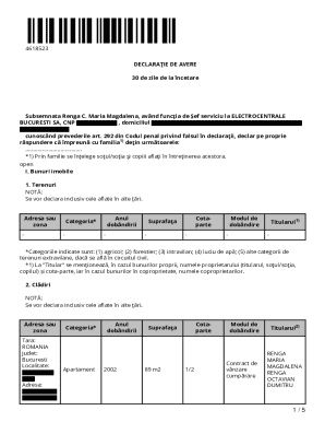 Romanian Asset Declaration Form