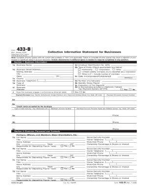 IRS Form 433-B