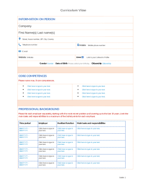 Curriculum Vitae Template