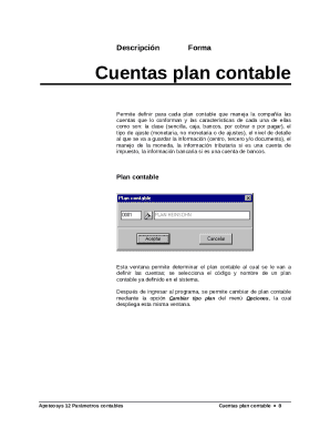 Account Setup Form for Chart of Accounts