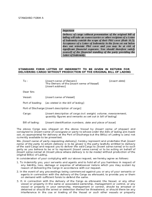 Standard Form Letter of Indemnity