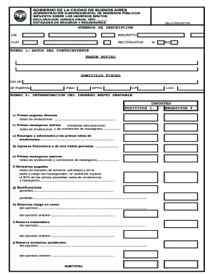 Buenos Aires Annual Tax Declaration Form