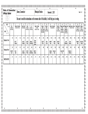 Connecticut Municipal Election Ballot