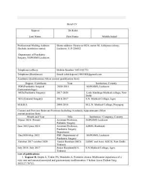 Professional CV Template
