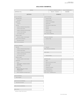 Formulario 6 Balance General