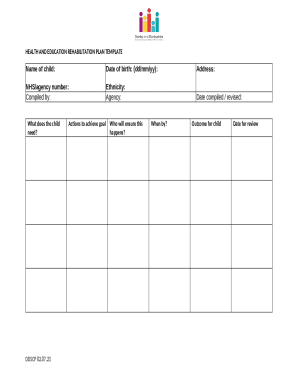 Health and Education Rehabilitation Plan Template