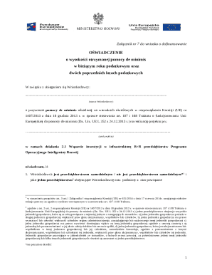 EU De Minimis Aid Declaration Form