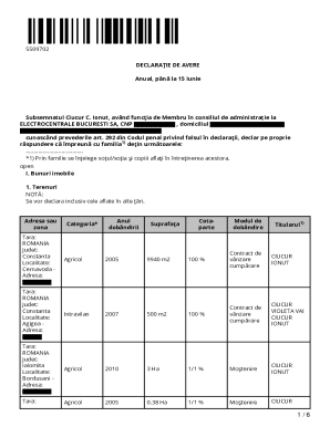 Romanian Annual Asset Declaration Form