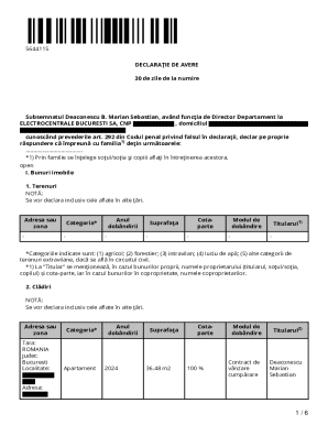 Romania Asset Declaration Form
