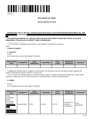 Romanian Asset Declaration Form