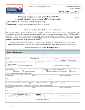 Polish Disability Assistance Application