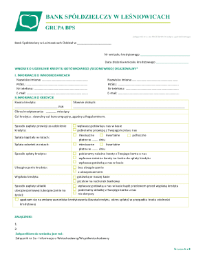 Cash Loan Application Form