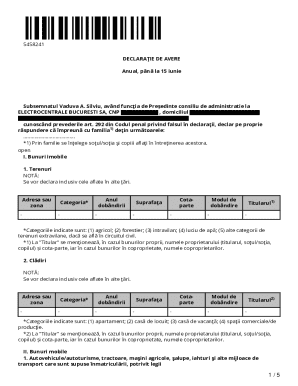 Romania Declaration of Assets Form