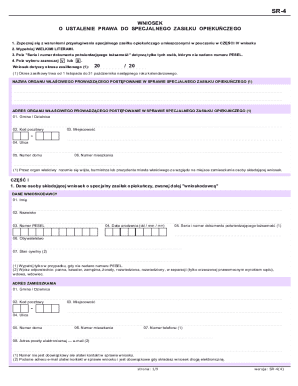 Special Care Allowance Application Form SR-4