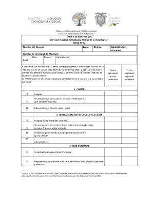 Ndice de barthel (ib) (versin original. actividades ...