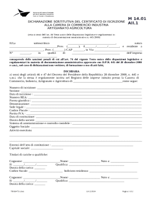 Italian Business Registration Declaration Form