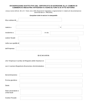 Italian Business Registration Declaration