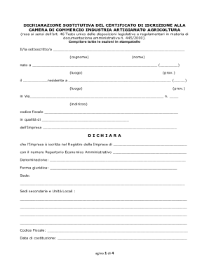 Italian Business Registration Declaration