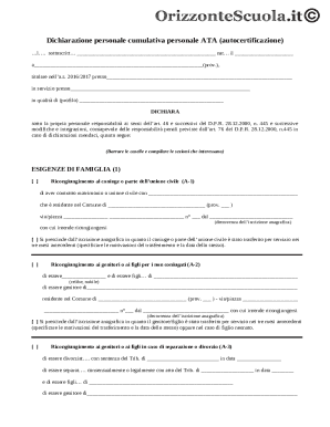 Personal Declaration Form ATA