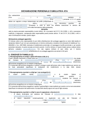 Personal Cumulative Declaration ATA