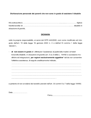 Disability Assistance Declaration Form