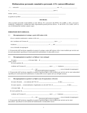 Personal Declaration Form ATA