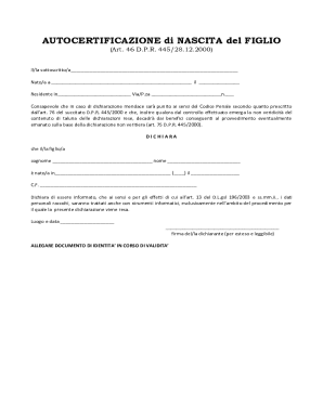 Italian Birth Certificate Declaration