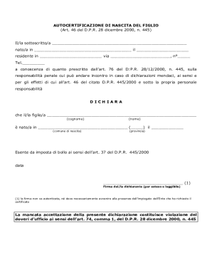 Italian Birth Certificate Declaration