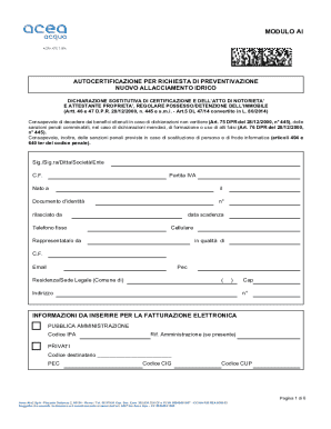 ACEA ATO 2 SPA Water Connection Request Form