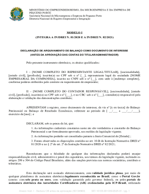 Brazilian Business Financial Statement Declaration