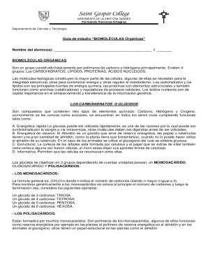 Saint gaspar collegesantiago