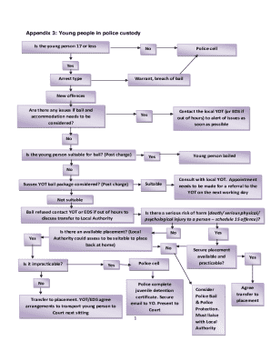 Appendix 3 - Assisting young people aged 16 and 17 in court