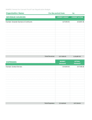 Organization Revenue and Expense Report