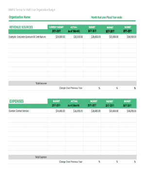 Organization Budget Template