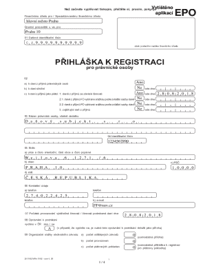 Czech Republic Tax Registration Form