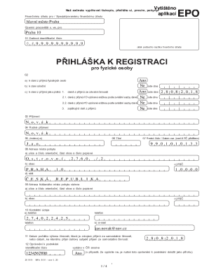 Czech Republic Tax Registration Form