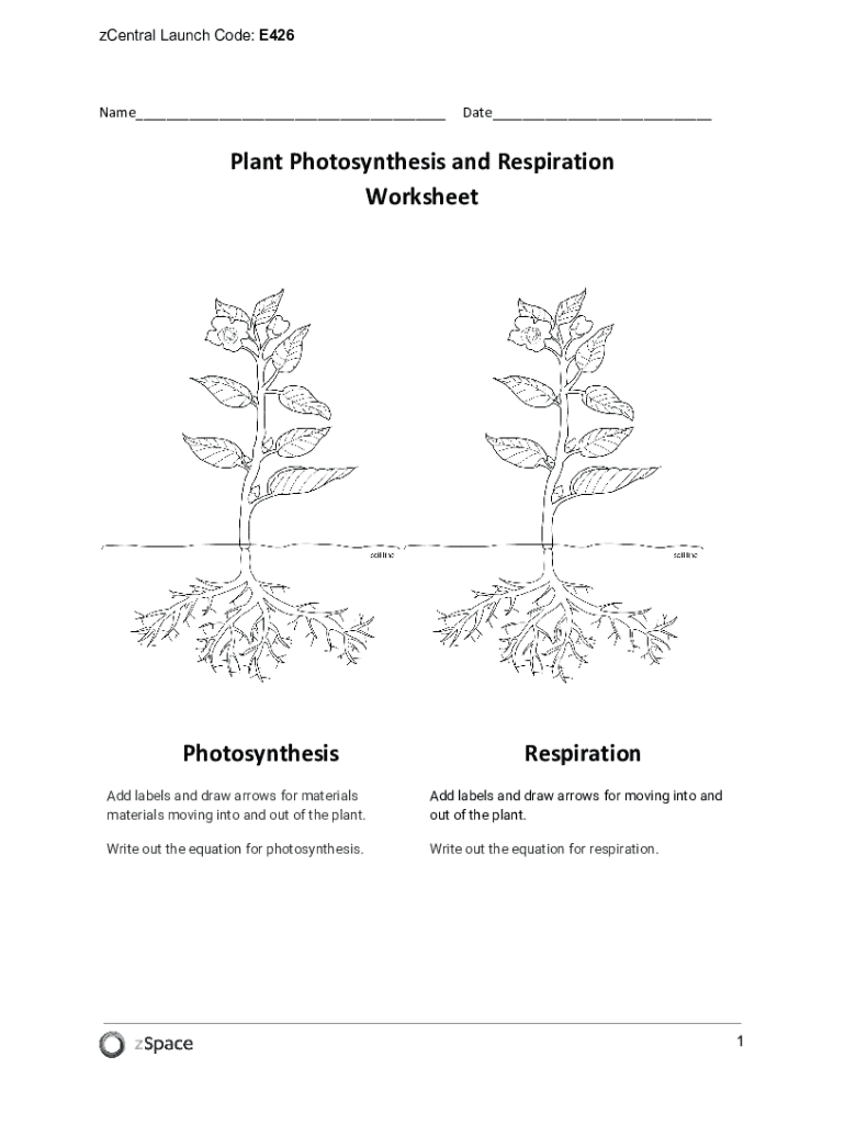 Plant Photosynthesis and Respiration Worksheet - Blank Fillable ...