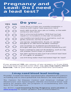 Pregnancy Lead Risk Questionnaire