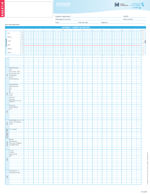 Intensive Care Time Sheet