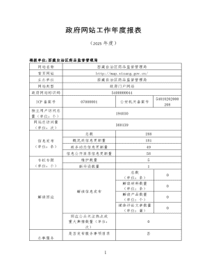 2025 Government Website Annual Report