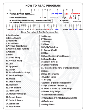 Horse Racing Performance Data Form