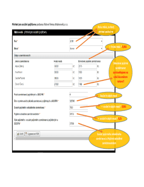 Social Insurance Summary Form