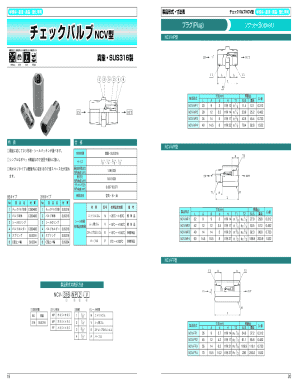 Check Valve Product Specifications