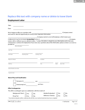 Employment Offer Letter