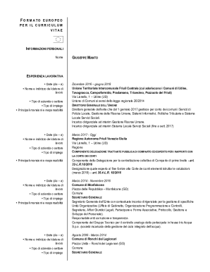 EUROPEAN CV Template