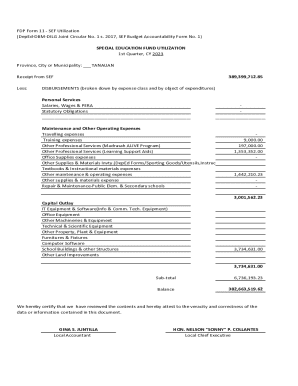 FDP Form 11 SEF Utilization