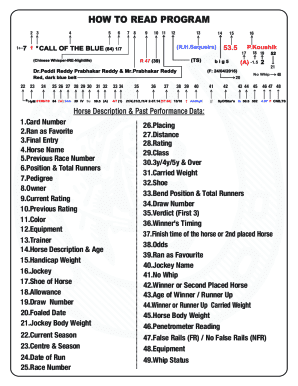 Horse Racing Performance Data Form