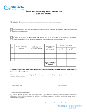 Polish De Minimis Aid Declaration Form
