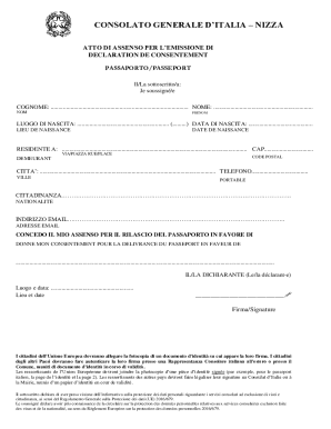 Declaration of Consent for Passport Issuance